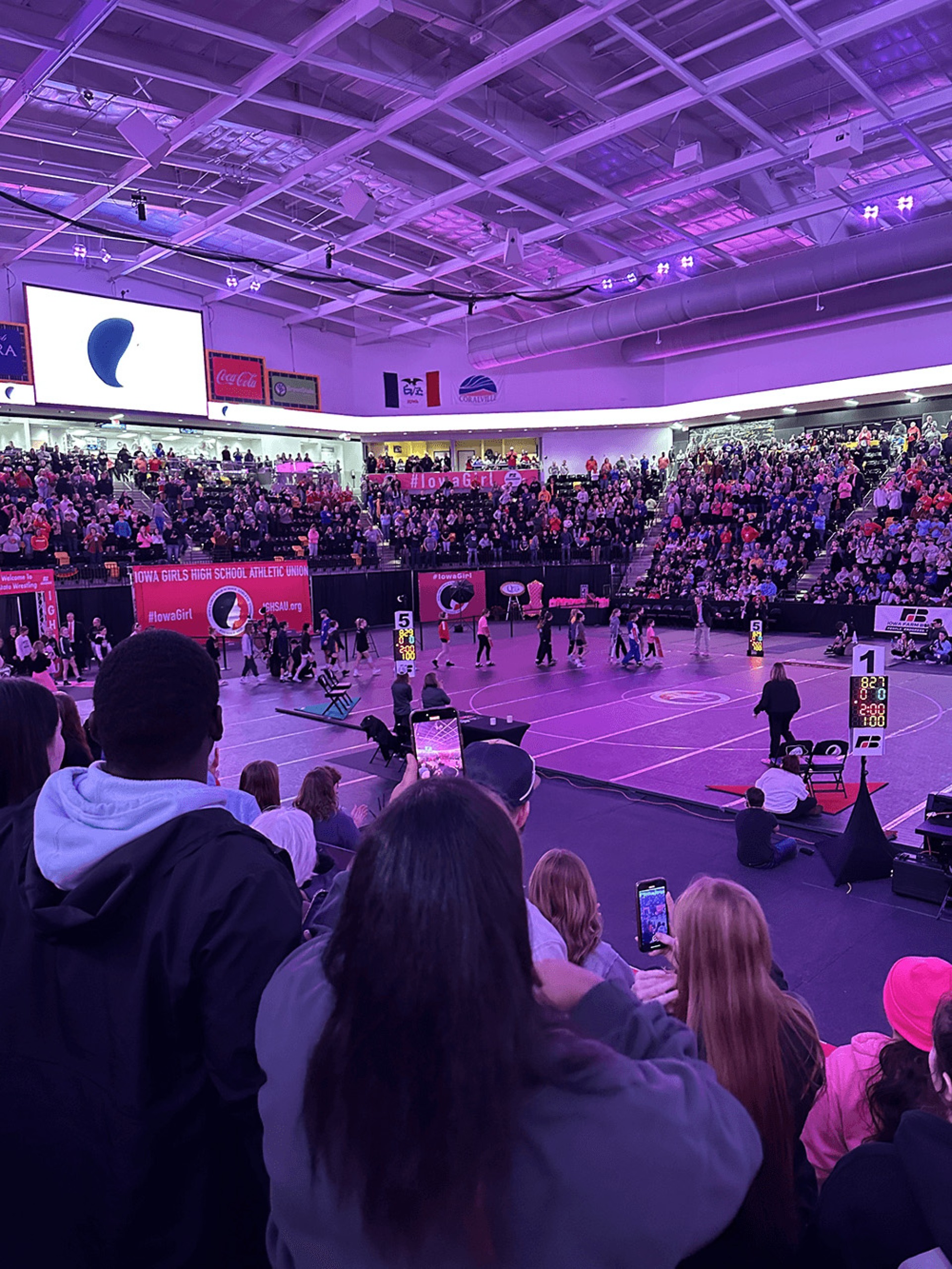 Wrestling competition crowd