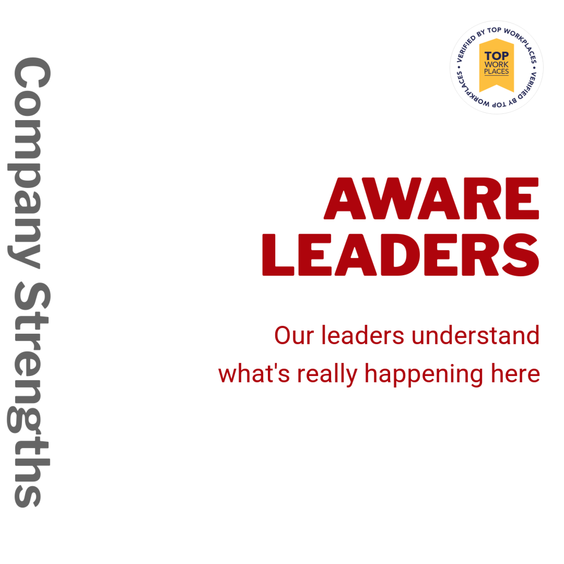 Company Strengths: Aware Leaders. Our leaders understand what's really happening here.